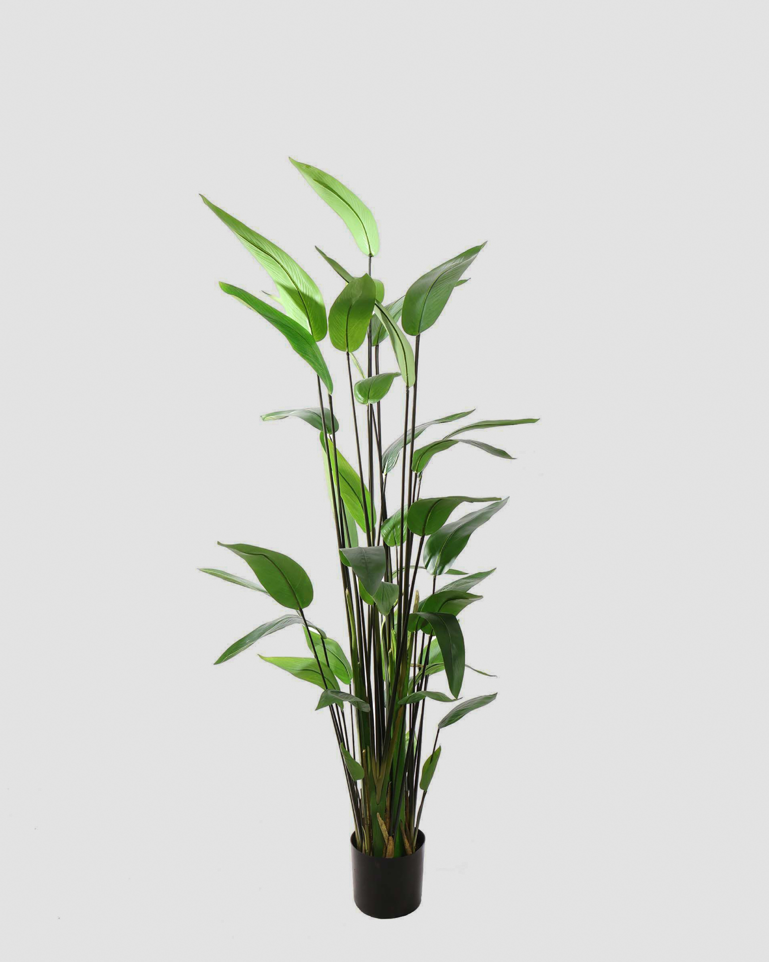 Kunstplant Water Canna – 180 cm
