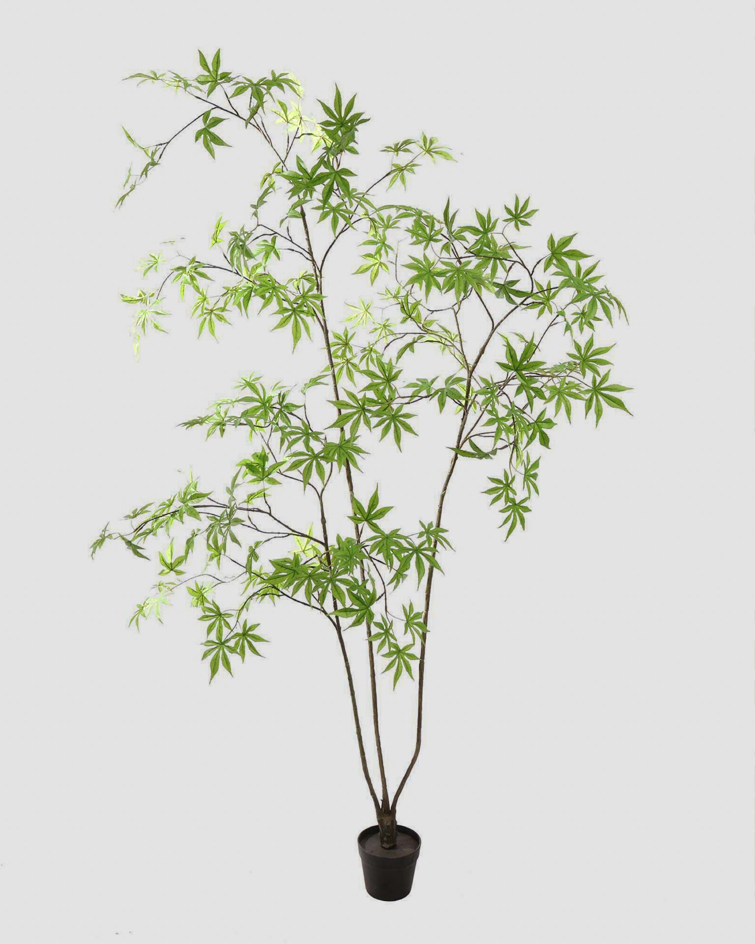 Kunstboom Acer Palmatum - 200cm