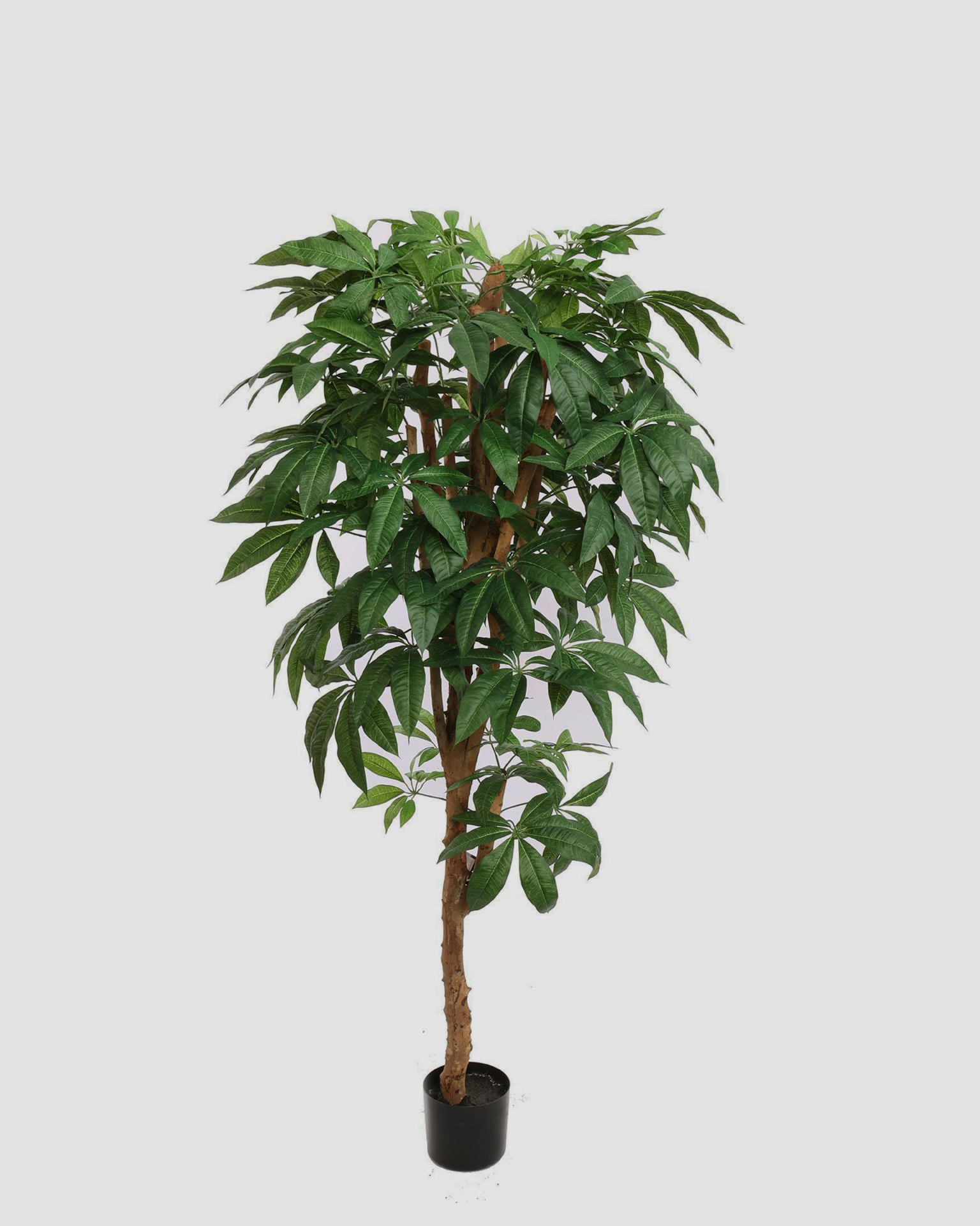 Kunstboom Pachira Tree – 180 cm