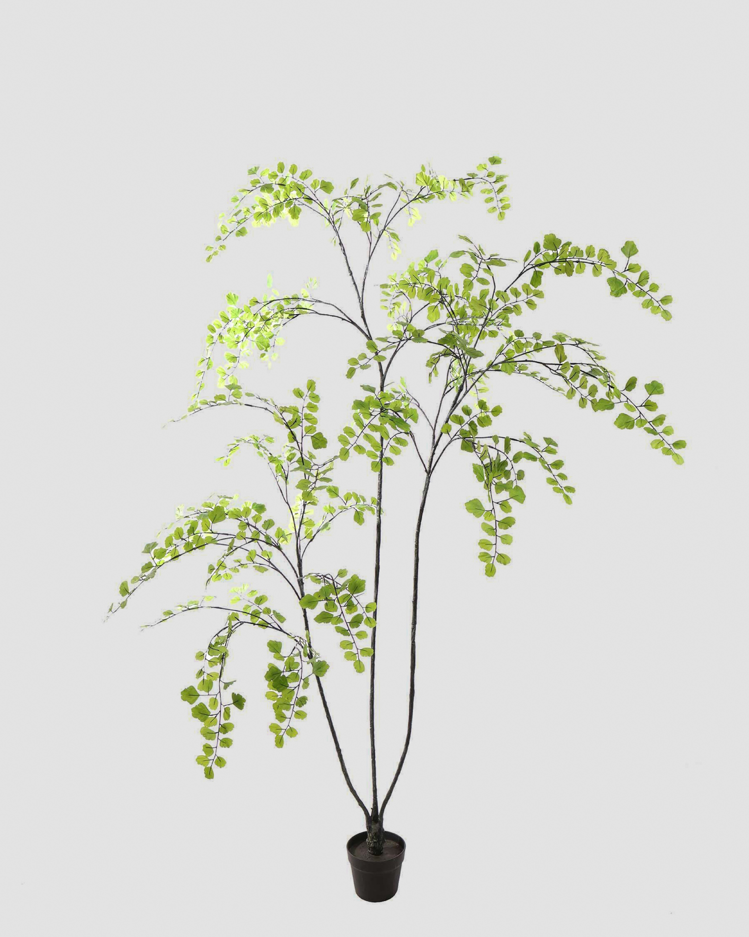 Kunstboom Celery Leaf Tree – 200 cm