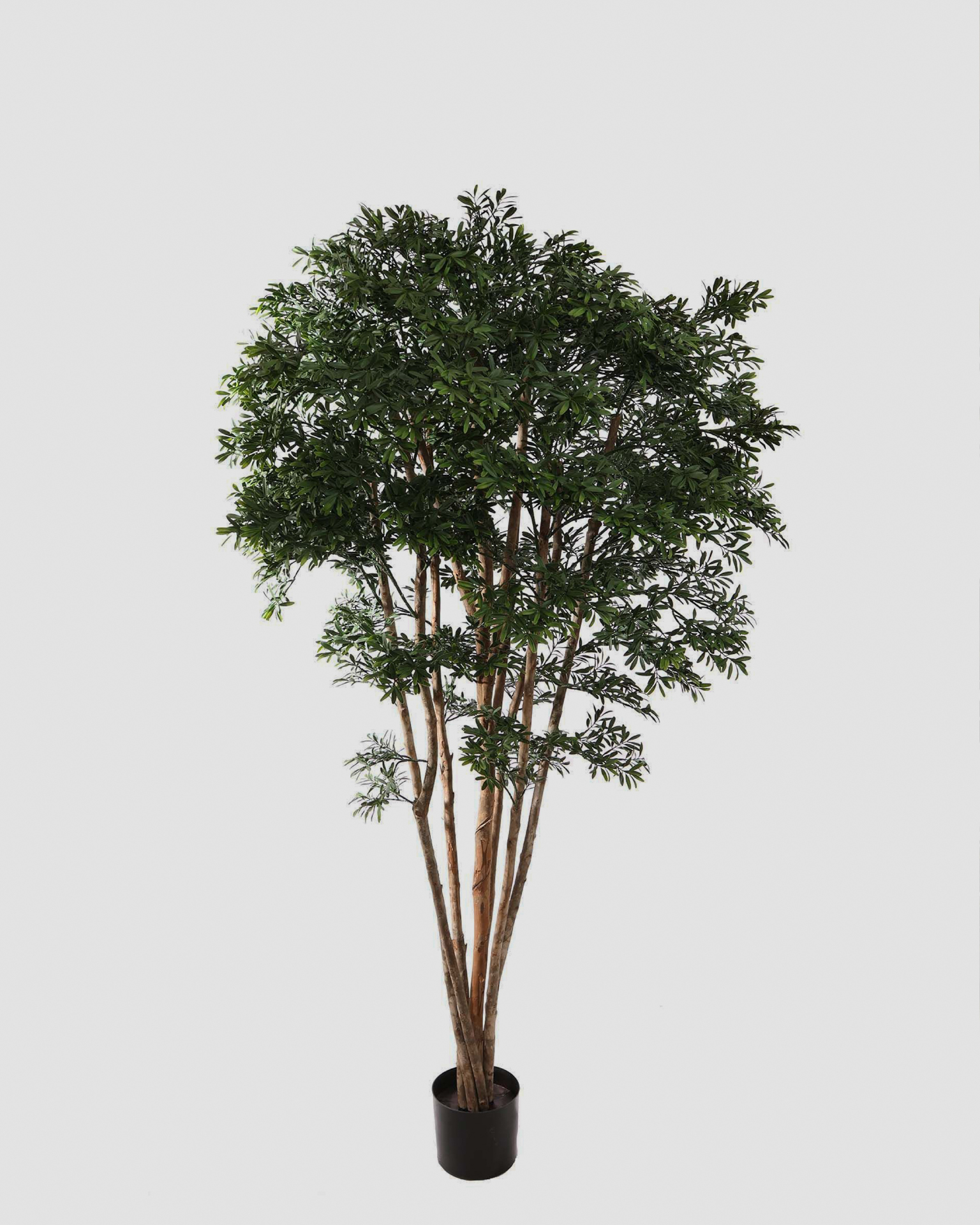 Kunstboom Black Willow Tree – 170 cm