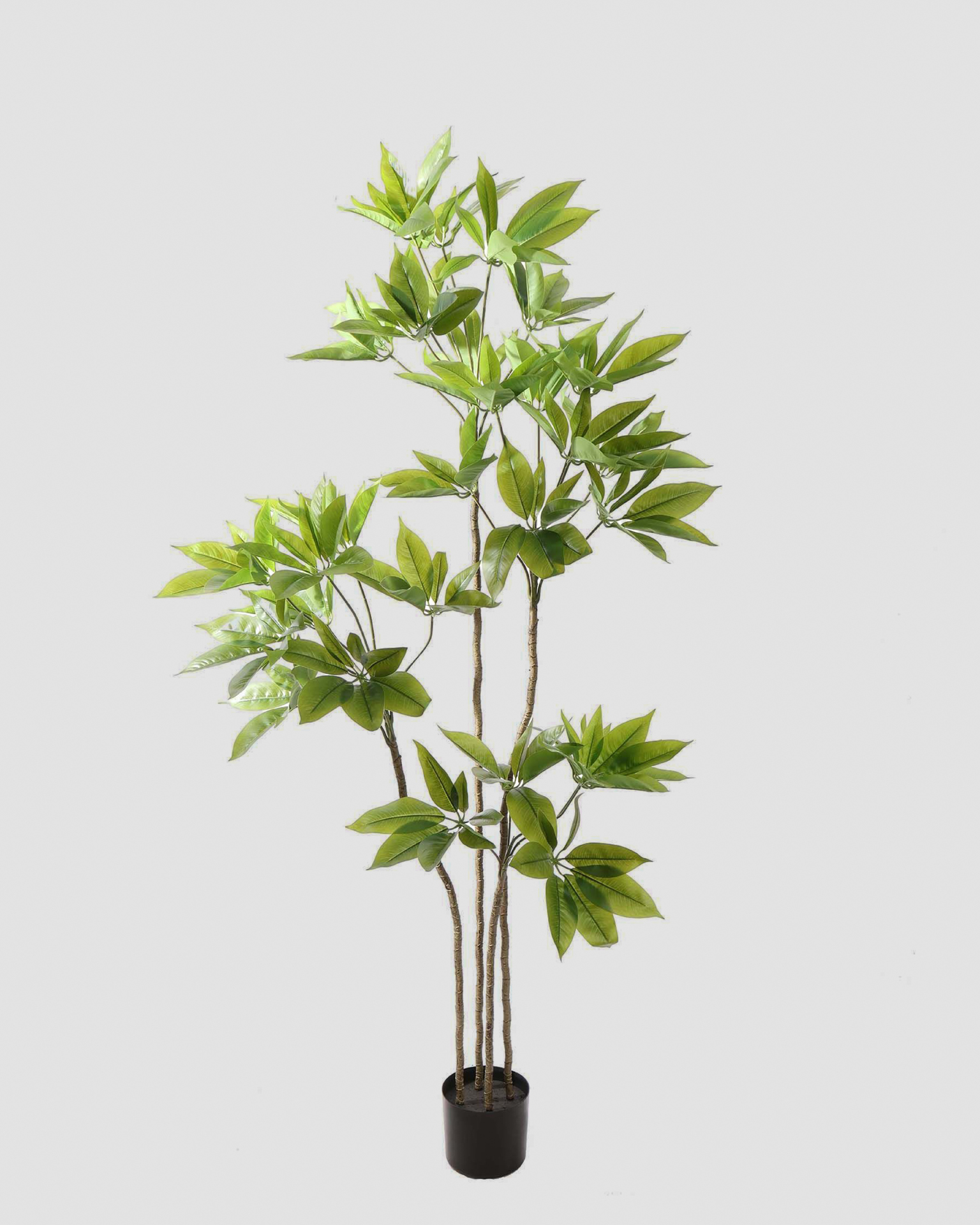 Artificial Plant Schefflera – 180 cm