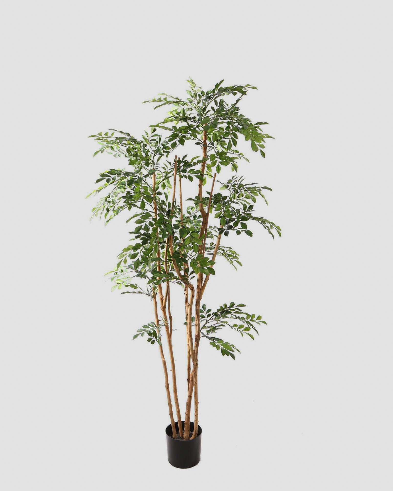 Kunstboom Murraya Tree – 170 cm