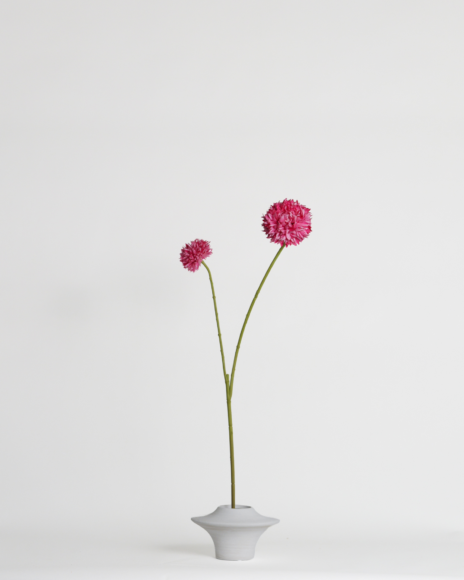 Ball Dahlia Pink – 79 cm
