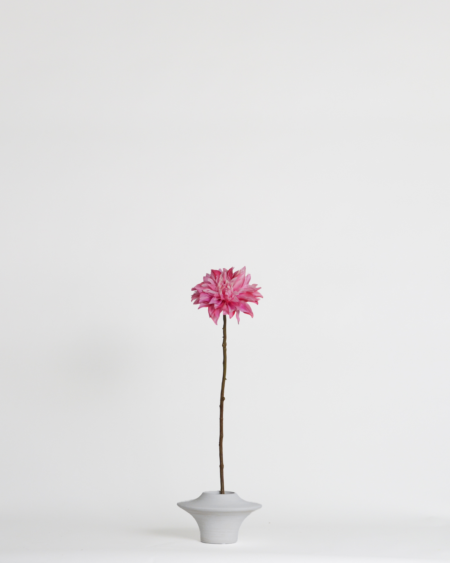 Dahlia Pink – 62 cm