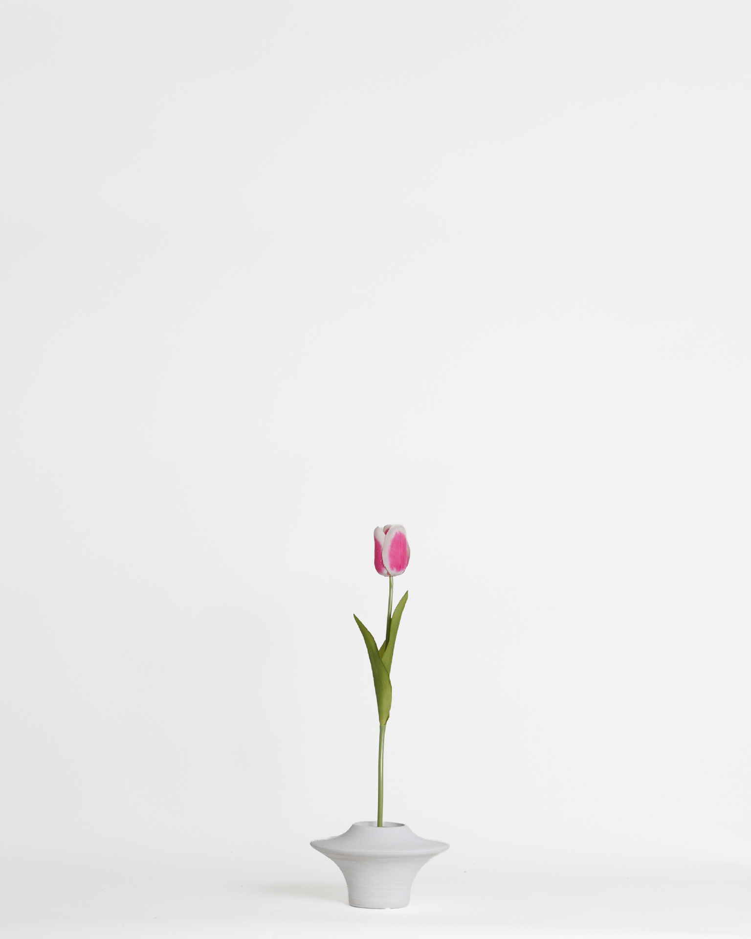 Tulip Pink – 51 cm