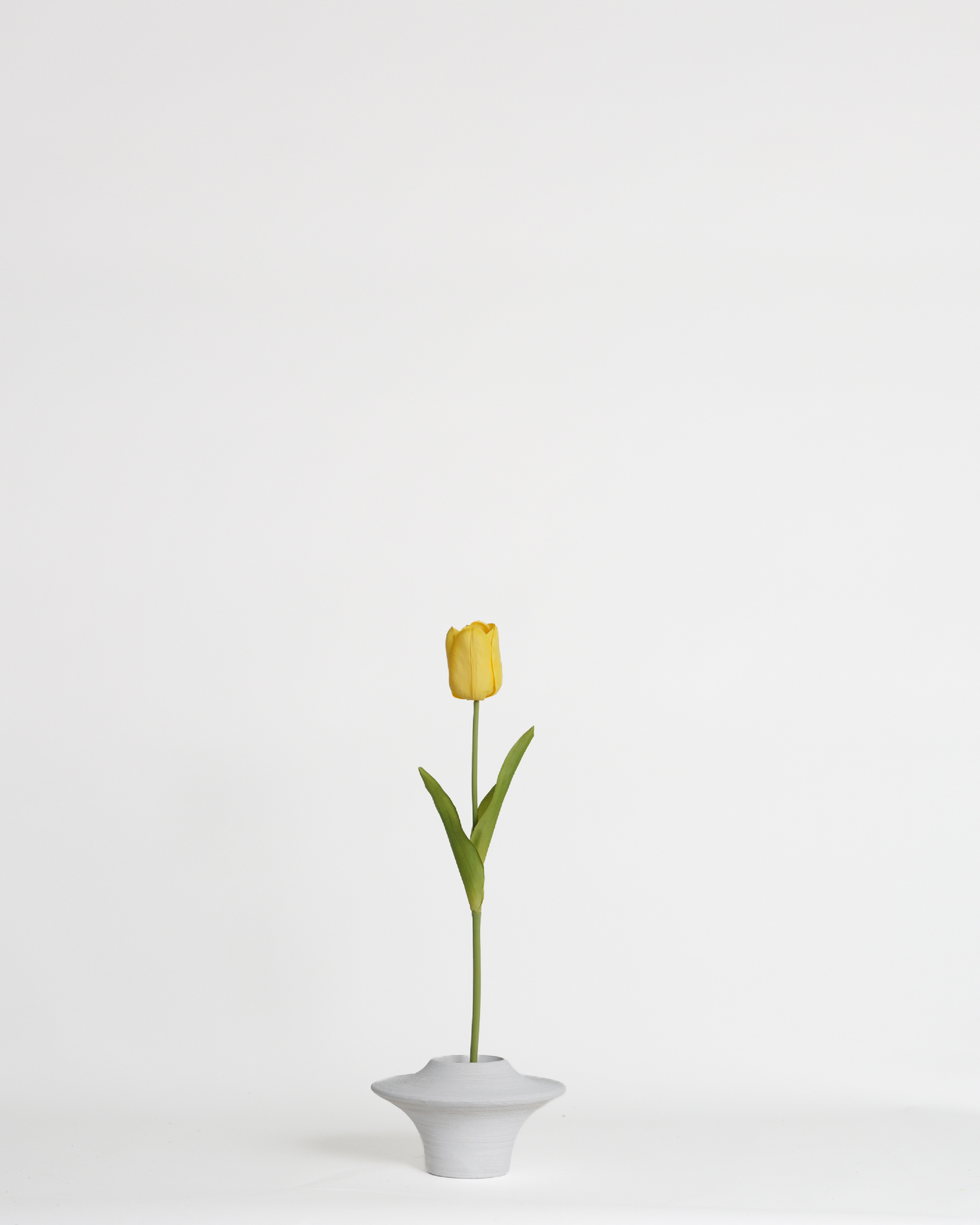 Tulip Yellow – 51 cm