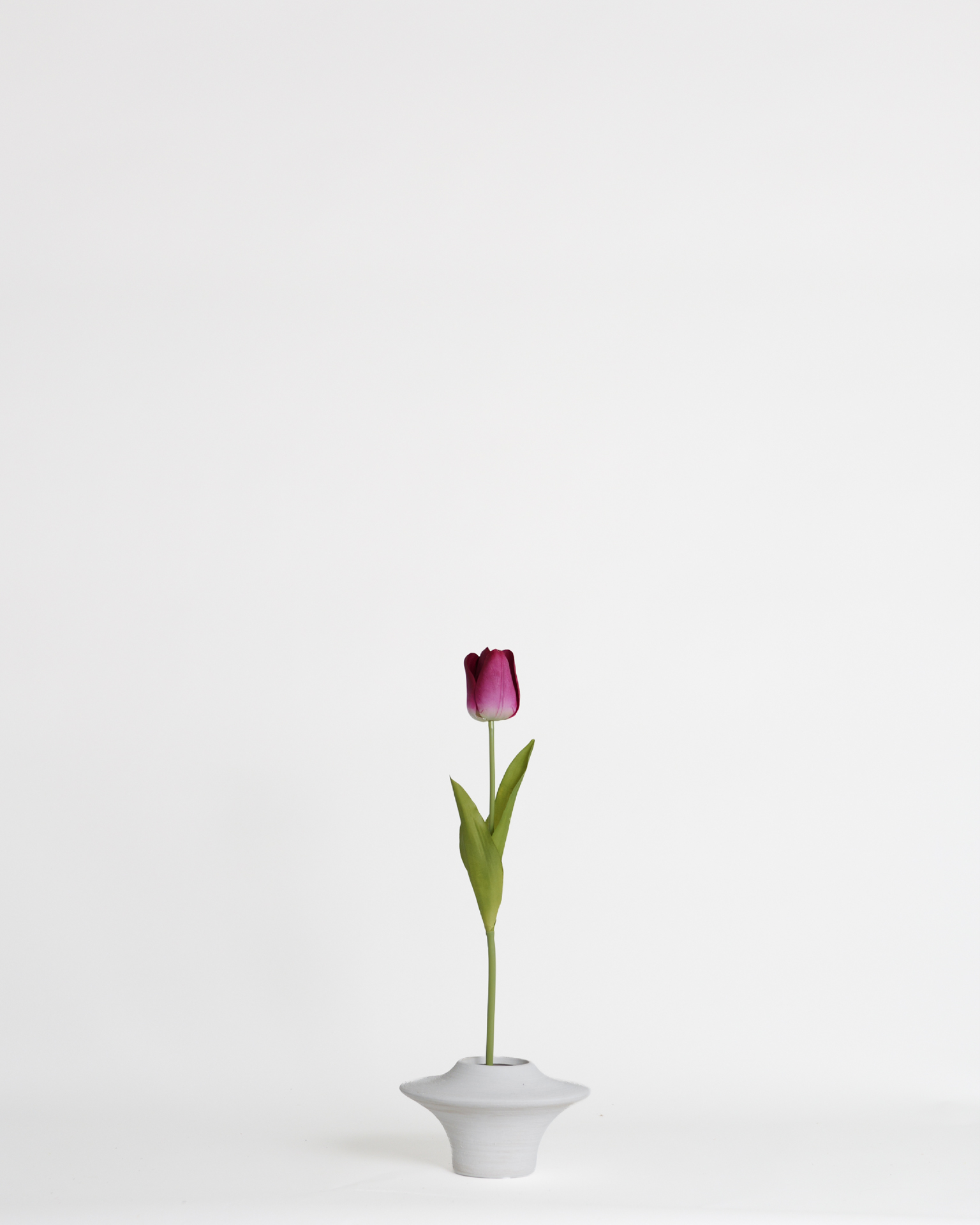 Tulip Burgundy – 51 cm