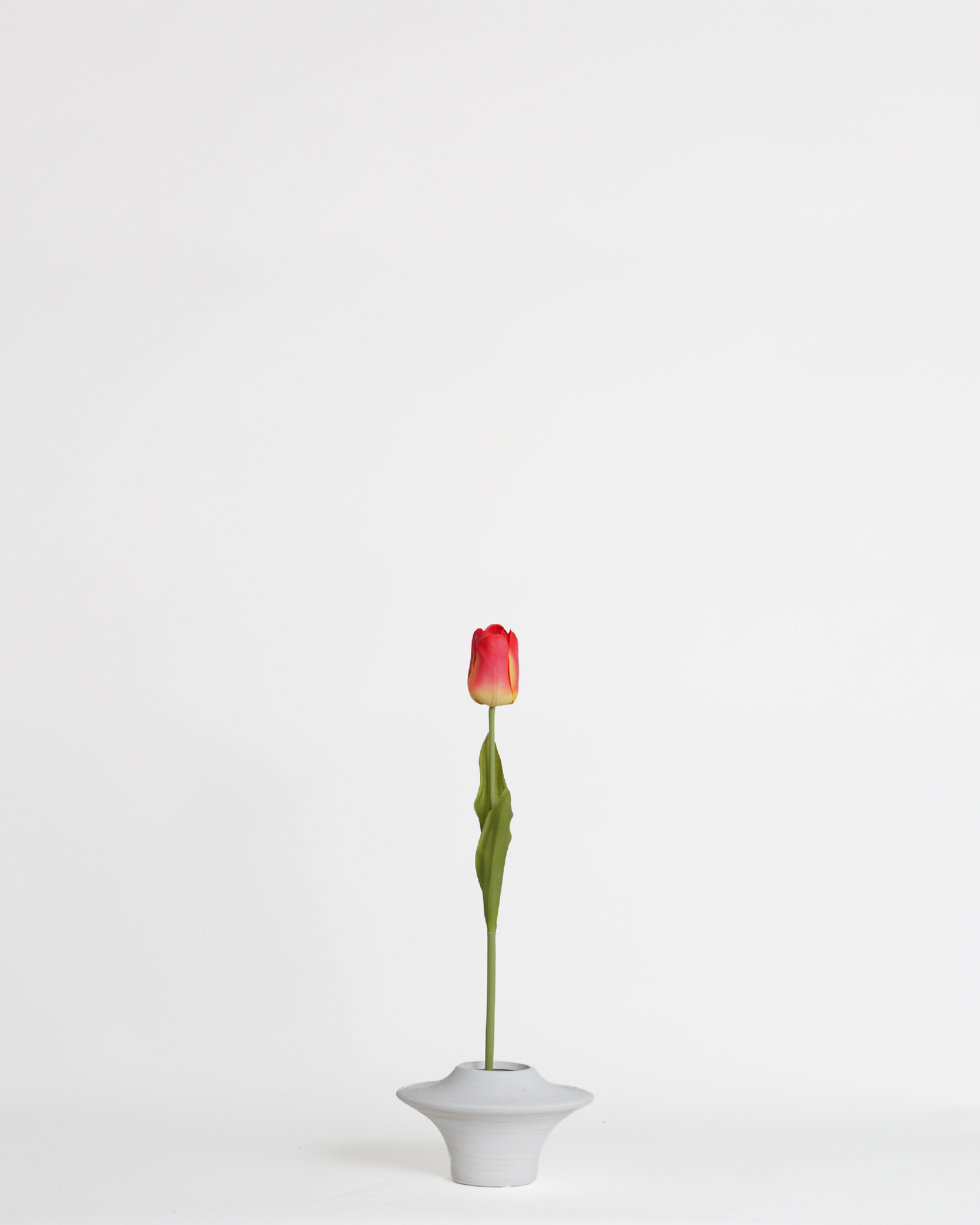 Tulip Red – 51 cm