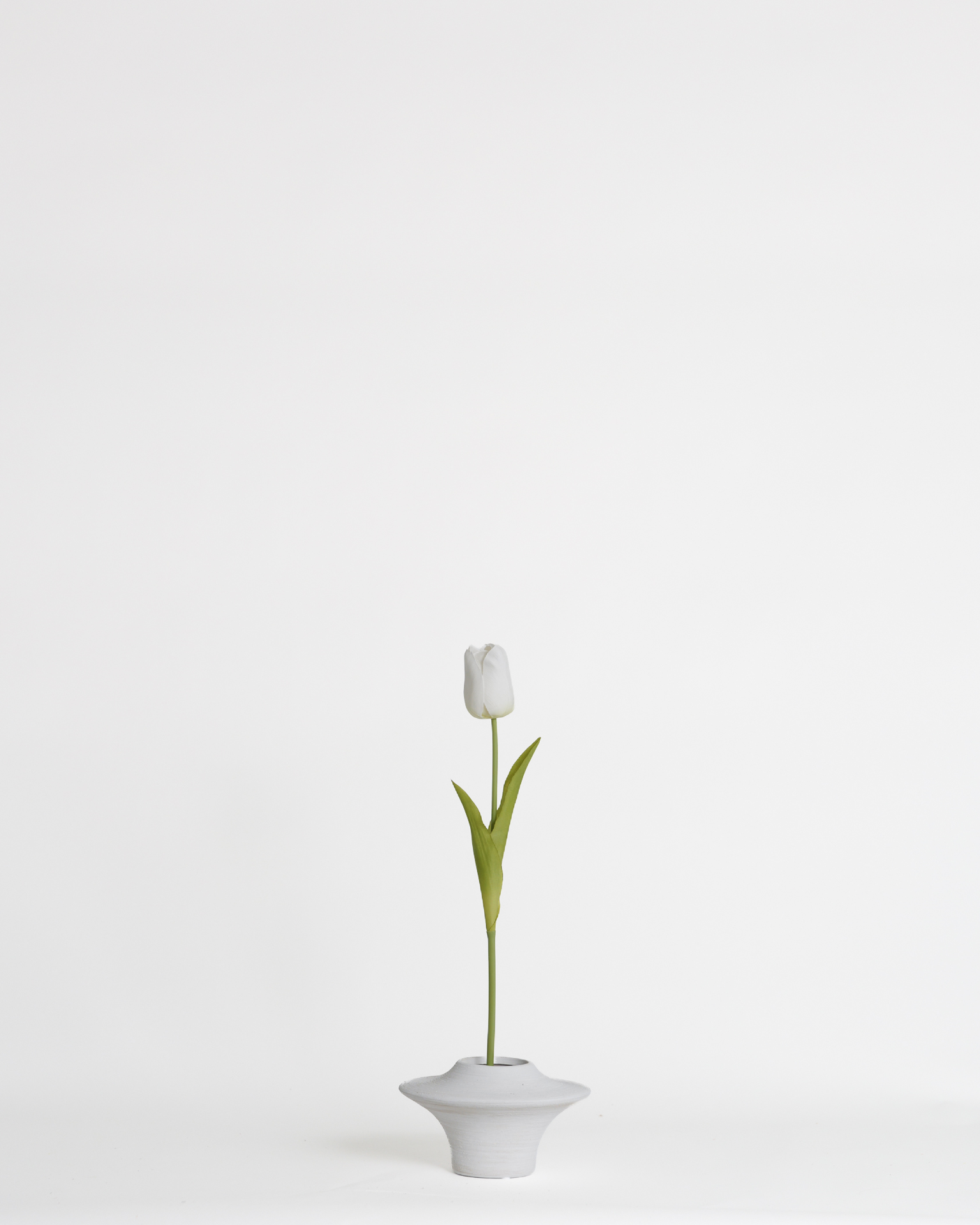 Tulip White – 51 cm