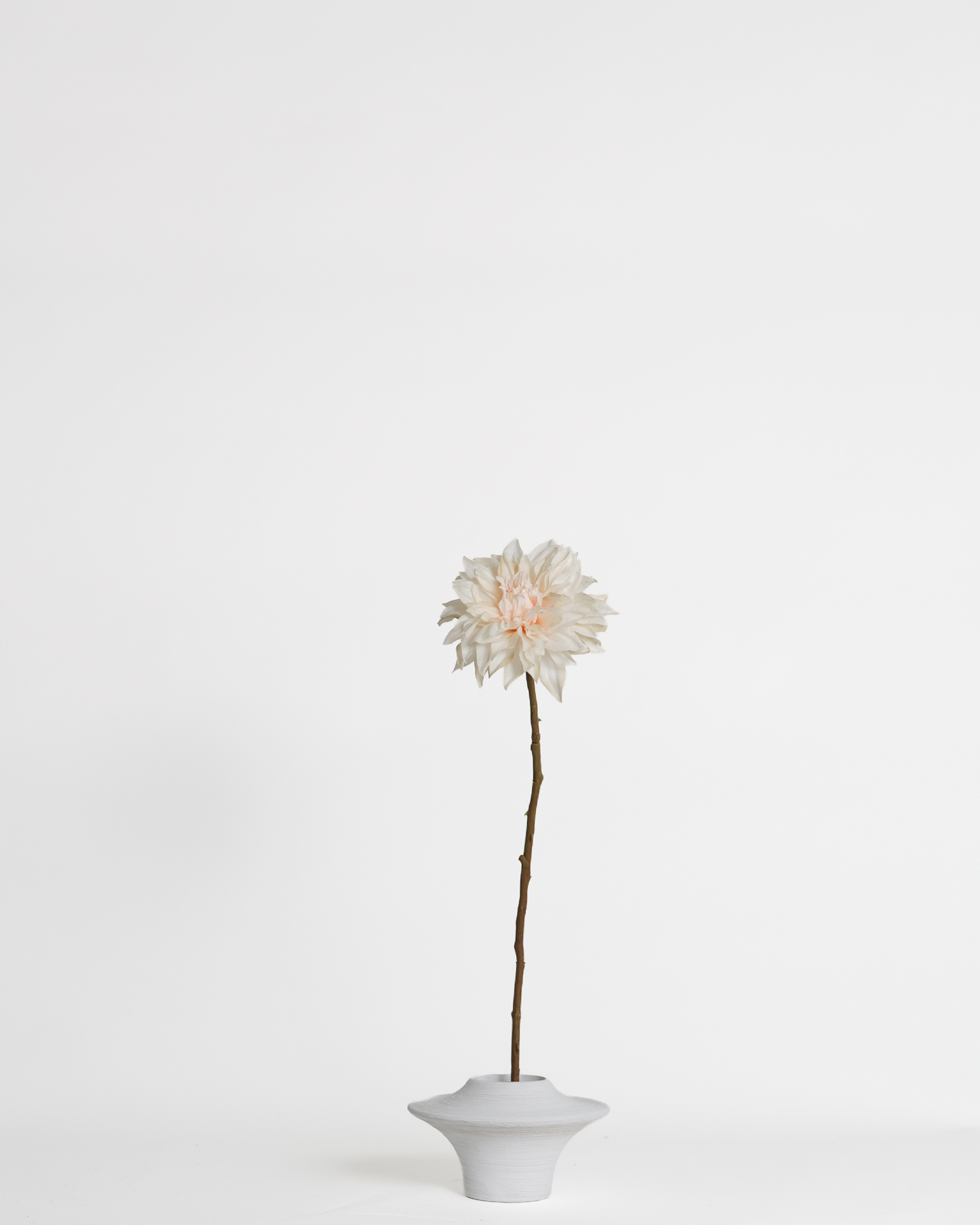Dahlia Cream – 62 cm