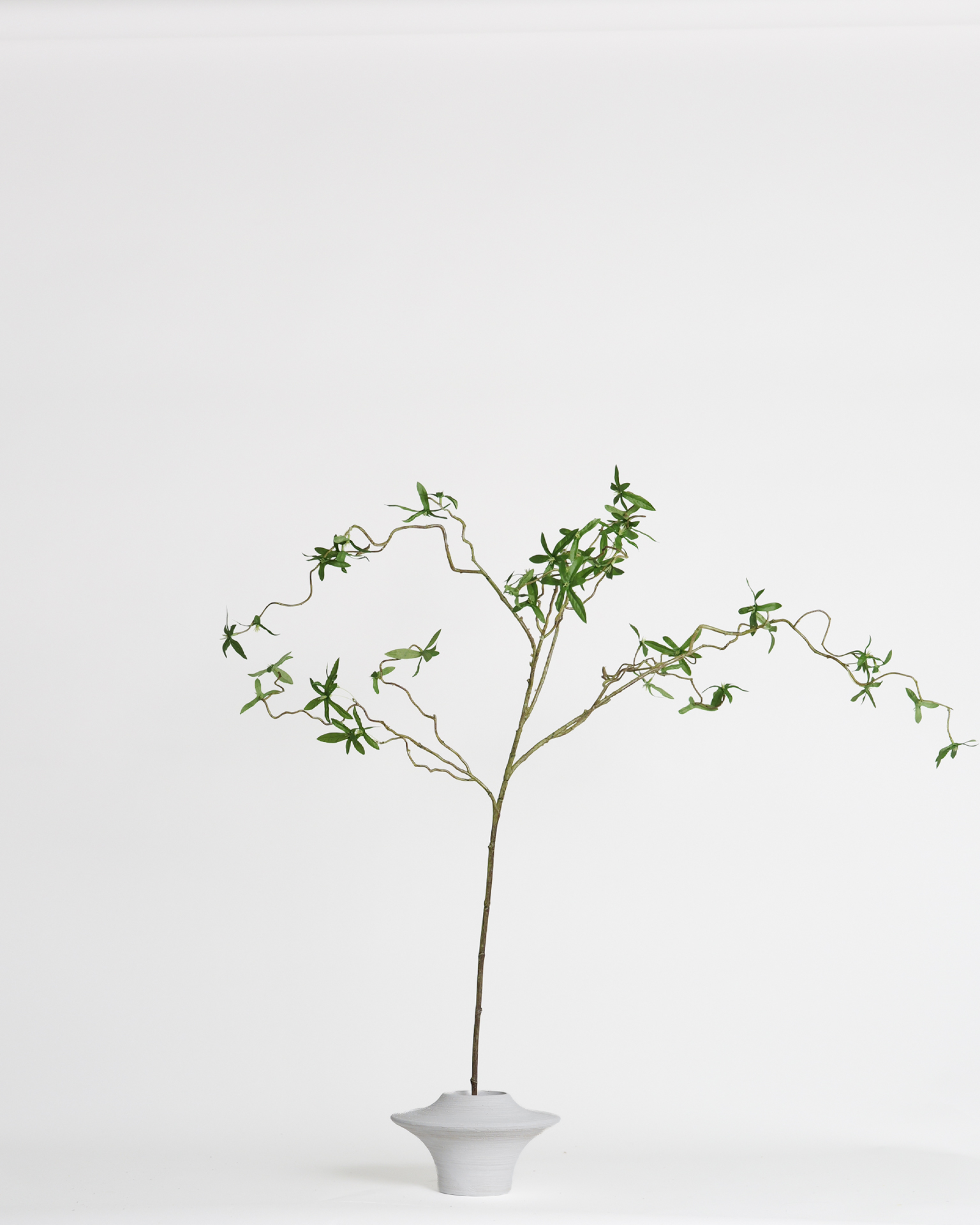 Salix Spray – 106 cm