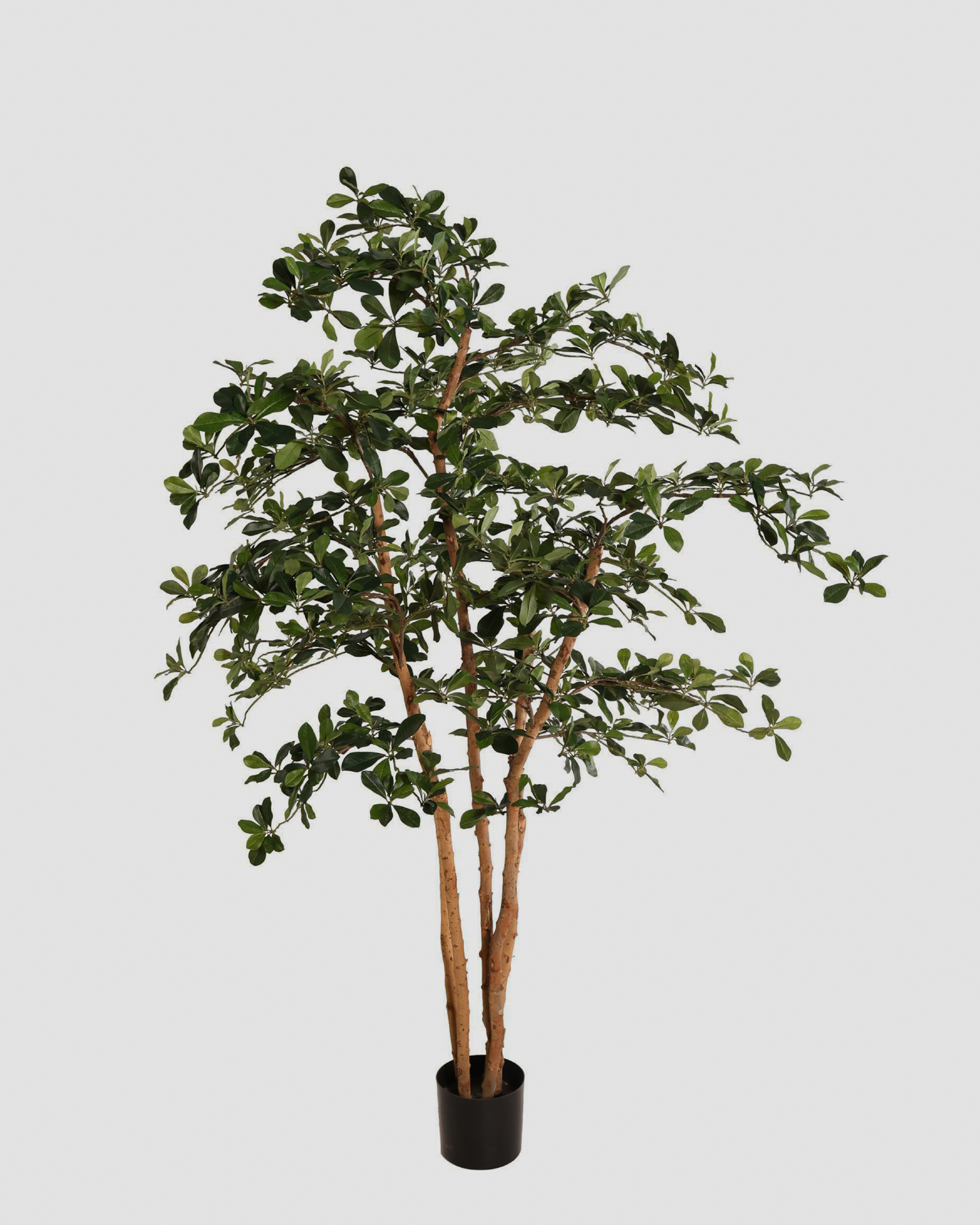 Kunstboom Olive Tree - 180cm