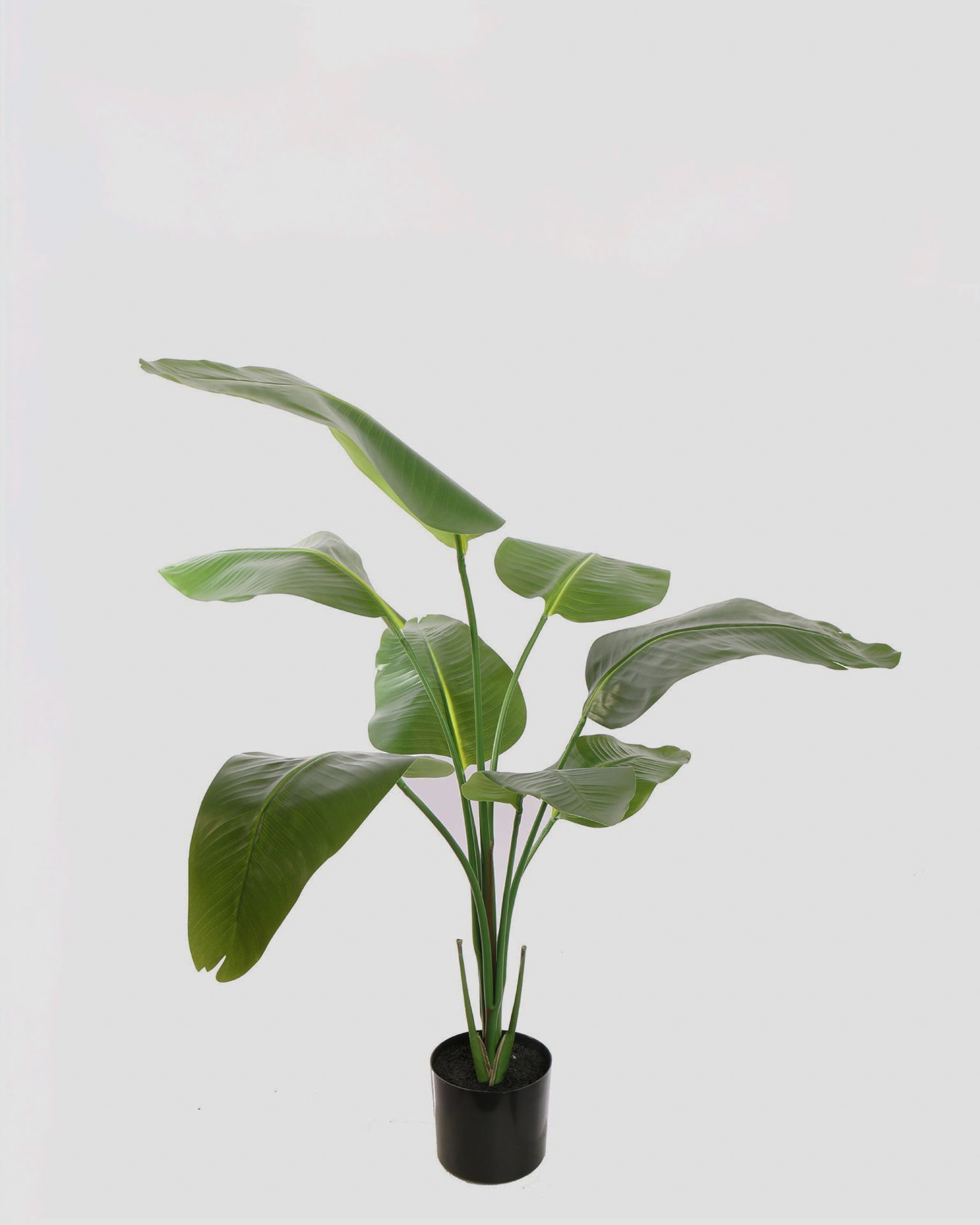 Kunstplant Traveller Tree - 120cm