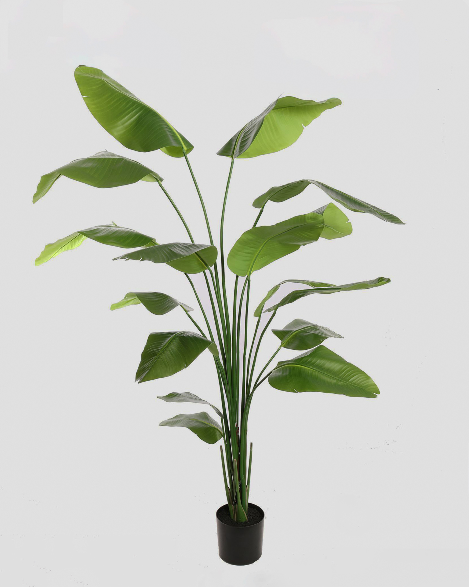 Kunstplant Traveller Tree - 210cm